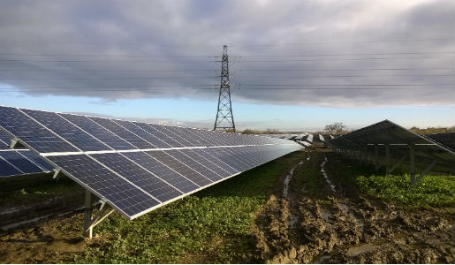 Solar farm on course to make £180K as it celebrates first birthday