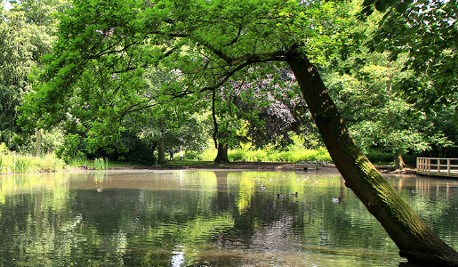 New nature reserves plan to boost green spaces commitment 