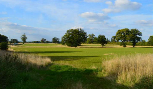 Haygate Road statement