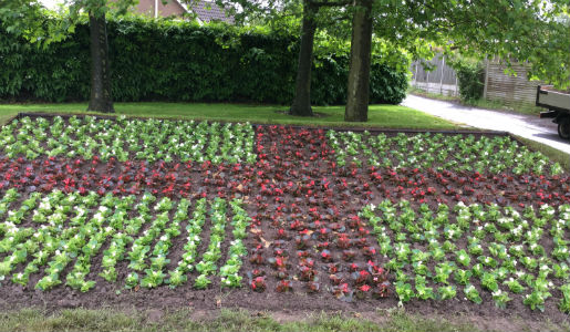 St George Cross floral bed to support England
