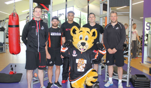Tigers on the loose in Horsehay