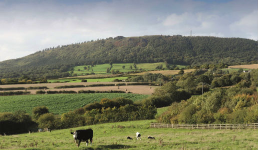 68 borough-wide sites to benefit from footway programme