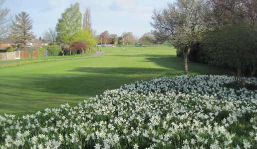 Cabinet approval sought for Green Guarantee sites