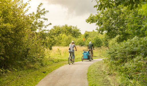 Green Guarantee consultation to begin