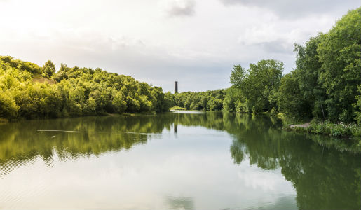 Five days left to vote for Town Park