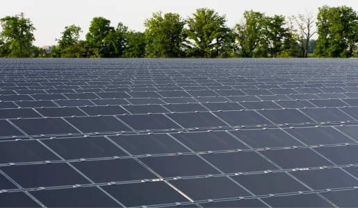 Council to challenge 'irrational' solar farm decision in High Court